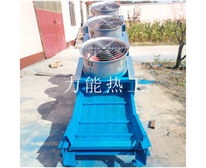 西藏链板提升机