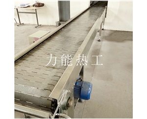 西藏链板输送机